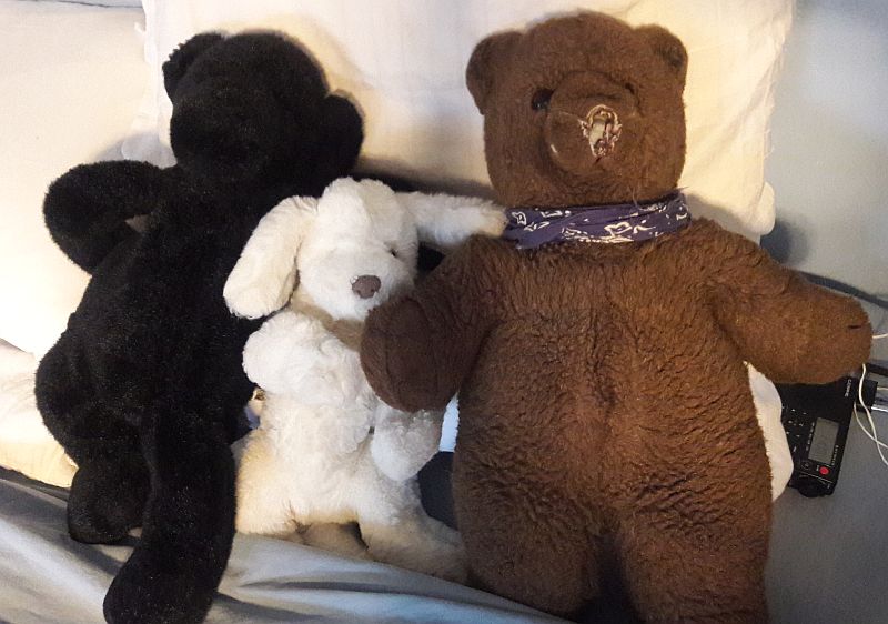 Shmonkey_puppy_and_bear